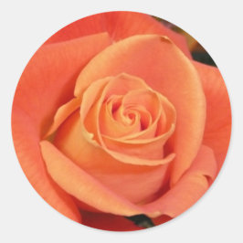 Oranje Roos Ronde Sticker