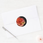 Oranje Roos Ronde Sticker (Envelop)