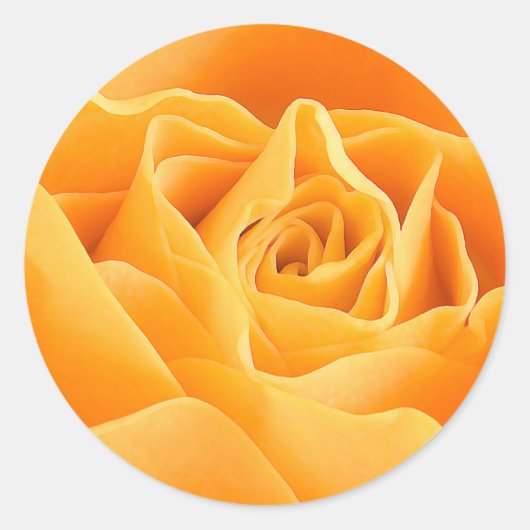 ORANJE ROOS RONDE STICKER (Voorkant)