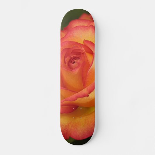 Oranje Roos skateboard (Voorkant)