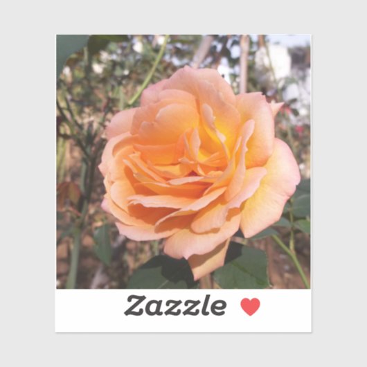 Oranje Roos Sticker (Vel)