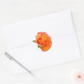 Oranje Roos Stikers Ronde Sticker (Envelop)