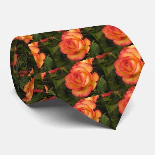 Oranje Roos Stropdas (Opgerold)