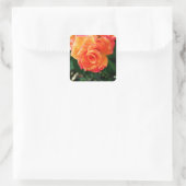 Oranje roos vierkante sticker (Tas)