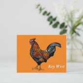 Oranje Rooster Key West Post Kaart (Staand voorkant)