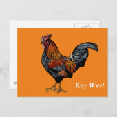 Oranje Rooster Key West Post Kaart (Voorkant / Achterkant)