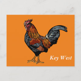 Oranje Rooster Key West Post Kaart