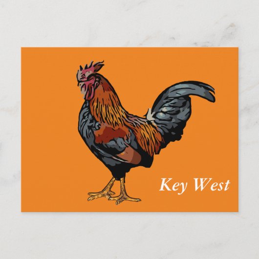 Oranje Rooster Key West Post Kaart (Voorkant)