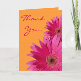 Oranje roze Gerbera Daisy Weddenschap Bedankt