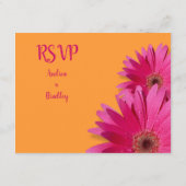 Oranje Roze Gerbera Madelief Bruiloft RSVP Kaart (Achterkant)