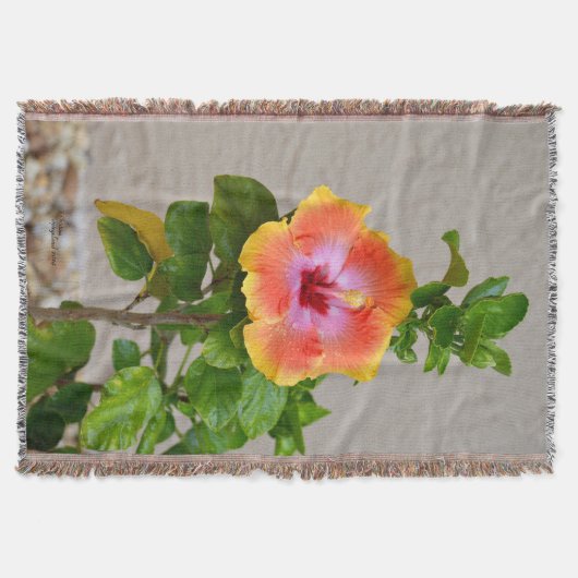 Oranje roze Hibiscus flower Throw Blanket Deken (Voorkant)