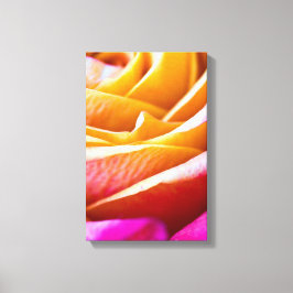 Oranje-roze roze Canvasafdruk Canvas Afdruk