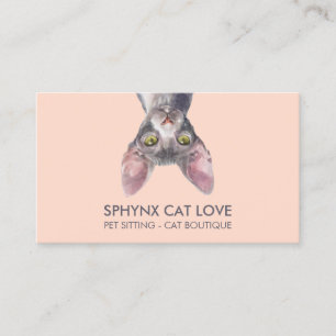 Oranje Roze Sphynx Kat Visitekaartje