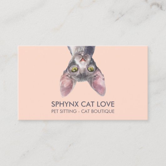 Oranje Roze Sphynx Kat Visitekaartje (Voorkant)