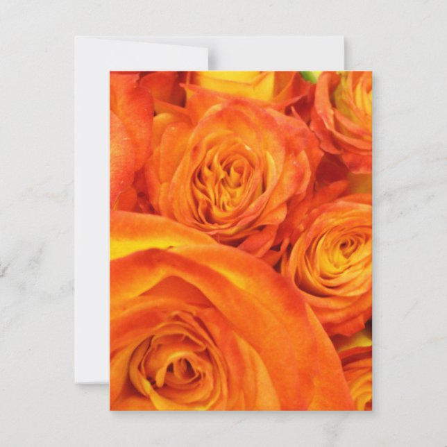 Oranje Rozen (Voorkant)