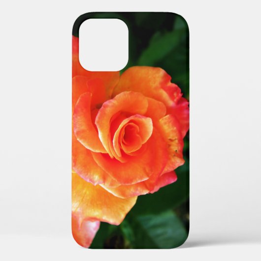 Oranje rozen bloem Case-Mate iPhone case (Achterkant)
