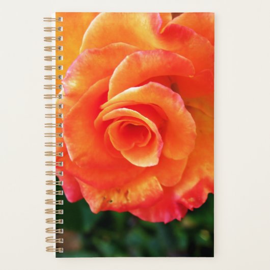 Oranje rozen bloem planner (Voorkant)
