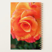 Oranje rozen bloem planner (Achterkant)