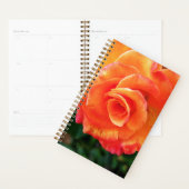 Oranje rozen bloem planner (Display)