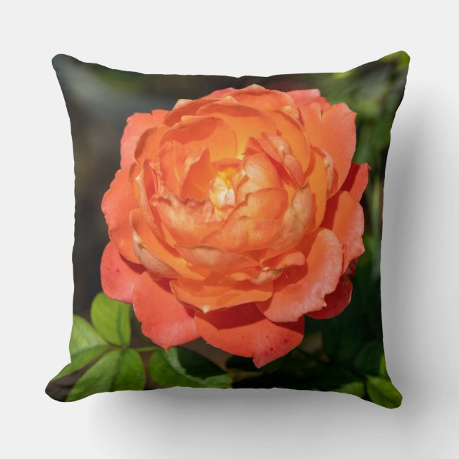 Oranje rozen bloemen kussen (Voorkant)