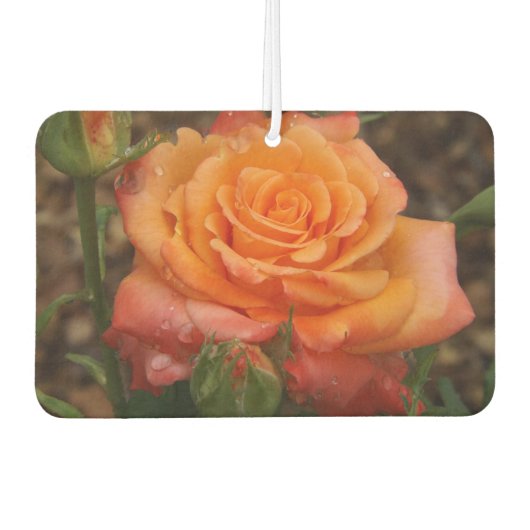 Oranje Rozen luchtverfrisser (Voorkant)