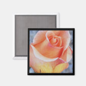 oranje rozen magneet (Voorkant / Achterkant)