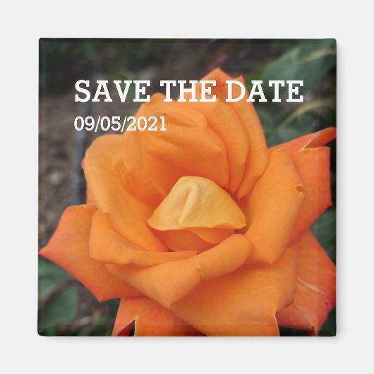 Oranje rozen magneten (Voorkant)