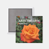 Oranje rozen magneten (Voorkant / Achterkant)