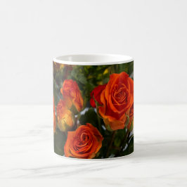 Oranje Rozen Mok