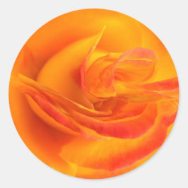 Oranje Rozen Stickers