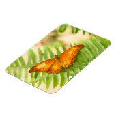 Oranje ruw vlinder magneet (Linkerzijde)