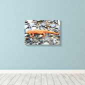 Oranje Salamander Canvas Afdruk (Insitu (Houten vloer))