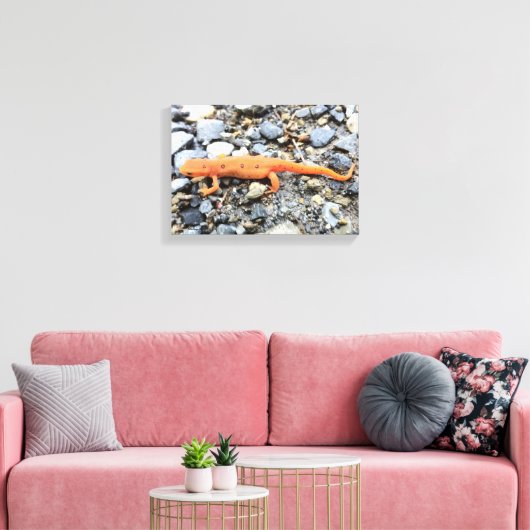 Oranje Salamander Canvas Afdruk (Insitu (Woonkamer))