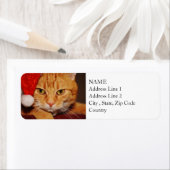 Oranje Santa Kat: Vrolijk kerstfeest van de kat Etiket (Insitu)