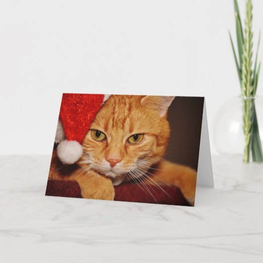 Oranje Santa Kat: Vrolijk kerstfeest van de kat Feestdagen Kaart (Voorkant)