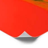 Oranje Schedel in Water Poster (Hoek)
