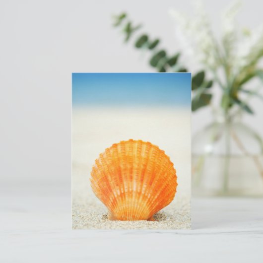 Oranje schelp rechtop in zand briefkaart (Staand voorkant)