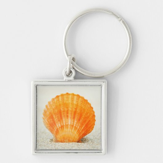 Oranje schelp rechtop in zand sleutelhanger (Voorkant)