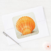Oranje schelp rechtop in zand vierkante sticker (Envelop)