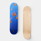Oranje schelpdierskateboard persoonlijk skateboard (Voorkant)