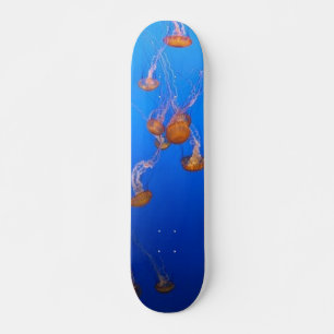 Oranje schelpdierskateboard persoonlijk skateboard
