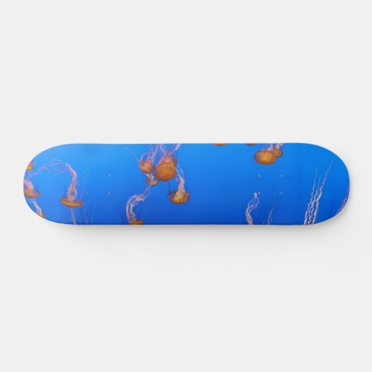 Oranje schelpdierskateboard skateboard (Horizontaal)