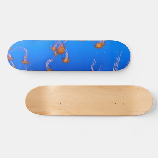 Oranje schelpdierskateboard skateboard (Horizontaal)
