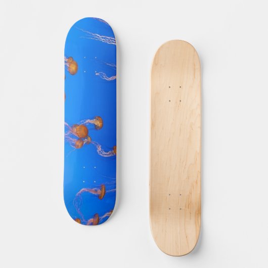Oranje schelpdierskateboard skateboard (Voorkant)