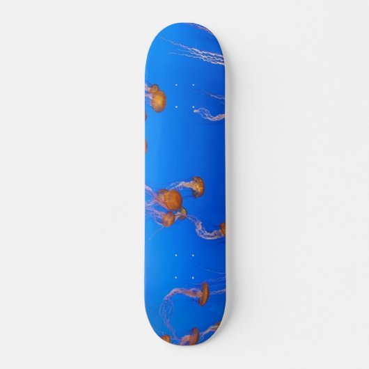 Oranje schelpdierskateboard skateboard (Voorkant)