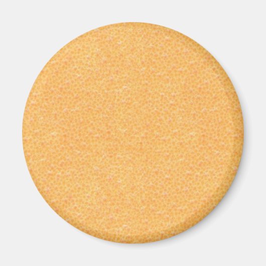 oranje schil magneet (Voorkant)