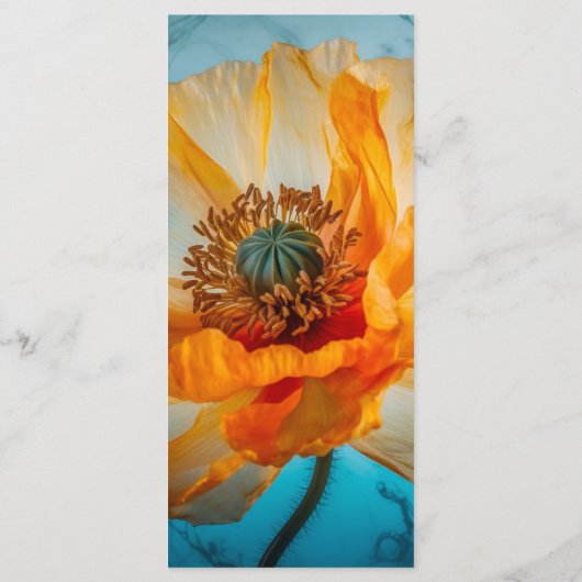 Oranje schoonheid Bladwijzer Menu (Achterkant)