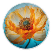 Oranje schoonheid keramische knop (Voorkant)