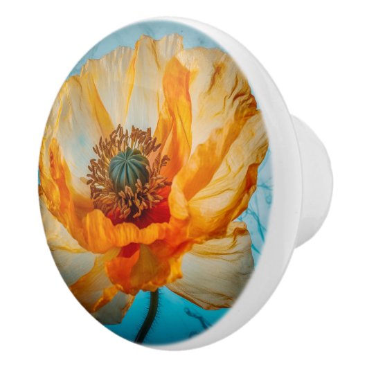 Oranje schoonheid keramische knop (Rechts)