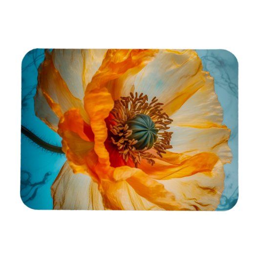 Oranje schoonheid magneet (Horizontaal)